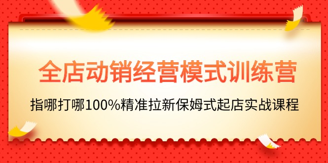 全店动销-经营模式训练营，指哪打哪100%精准拉新保姆式起店实战课程-风口项目网_项目资源_网络赚钱副业分享_创业项目_兼职副业_中创网_抖音教程