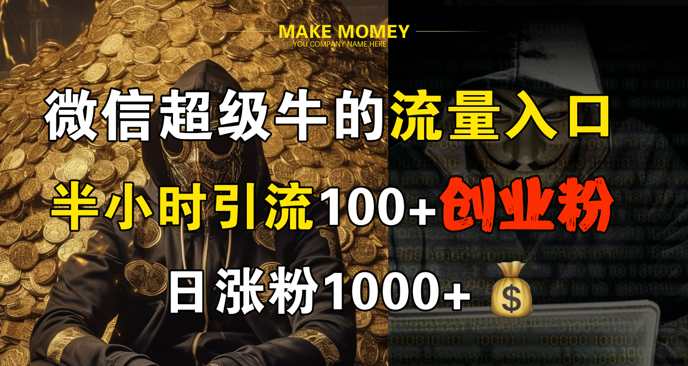 微信超级牛的流量入口，半小时引流100+创业粉，日涨粉1000+-蓝海项目网_项目资源_网络赚钱副业分享_创业项目_兼职副业_中创网_抖音教程