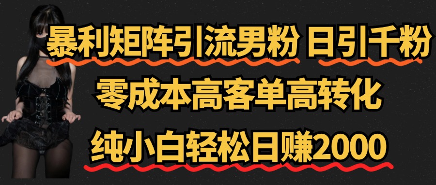 暴利矩阵引流男粉（日引千粉），零成本高客单高转化，纯小白轻松日赚2000+-风口项目网_项目资源_网络赚钱副业分享_创业项目_兼职副业_中创网_抖音教程