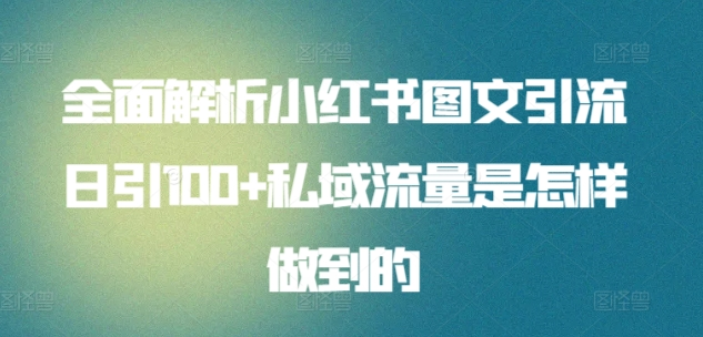 暴力引流 小红书图文引流日引100私域全面拆解【打粉人必看】-风口项目网_项目资源_网络赚钱副业分享_创业项目_兼职副业_中创网_抖音教程