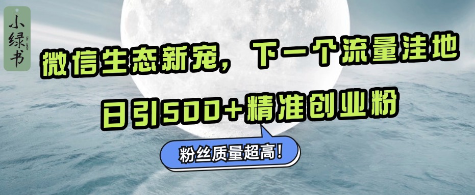 微信生态新宠小绿书：下一个流量洼地，粉丝质量超高，日引500+精准创业粉，-风口项目网_项目资源_网络赚钱副业分享_创业项目_兼职副业_中创网_抖音教程