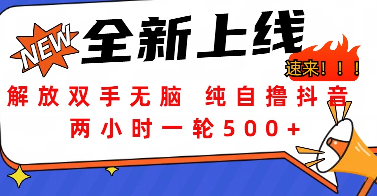 解放双手无脑 纯自撸抖音 两小时一轮500+-风口项目网_项目资源_网络赚钱副业分享_创业项目_兼职副业_中创网_抖音教程