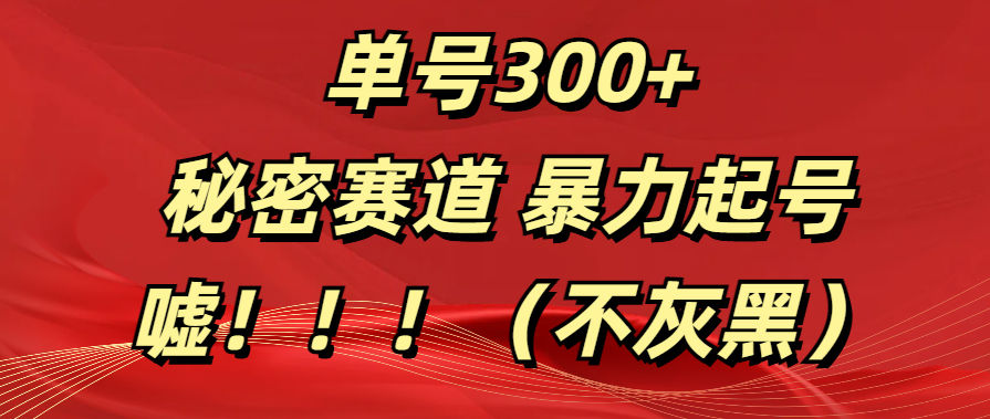 单号300+  秘密赛道 暴力起号  （不灰黑）-风口项目网_项目资源_网络赚钱副业分享_创业项目_兼职副业_中创网_抖音教程