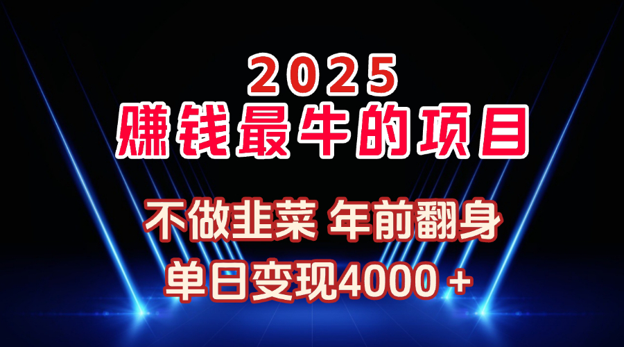 2025年赚钱最牛的项目 不做韭菜 年前翻身-风口项目网_项目资源_网络赚钱副业分享_创业项目_兼职副业_中创网_抖音教程