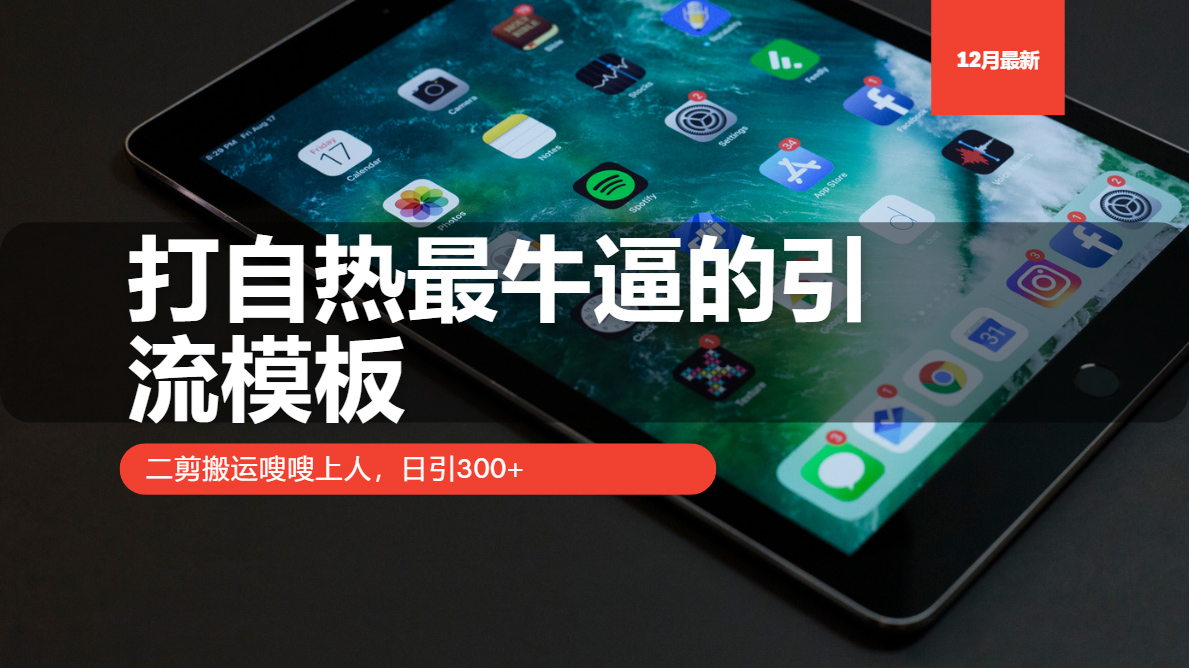 打自热最牛逼的引流模板，日引300+，二剪搬运嗖嗖上人-风口项目网_项目资源_网络赚钱副业分享_创业项目_兼职副业_中创网_抖音教程