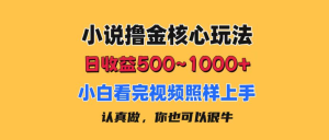 小说撸金核心玩法，日收益500-1000+，小白看完照样上手，0成本有手就行-风口项目网_项目资源_网络赚钱副业分享_创业项目_兼职副业_中创网_抖音教程