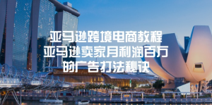 亚马逊跨境电商教程：亚马逊卖家月利润百万的广告打法秘诀-风口项目网_项目资源_网络赚钱副业分享_创业项目_兼职副业_中创网_抖音教程