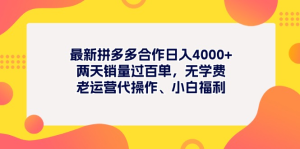 最新拼多多项目日入4000+两天销量过百单，无学费、老运营代操作、小白福利-风口项目网_项目资源_网络赚钱副业分享_创业项目_兼职副业_中创网_抖音教程