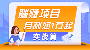 躺赚副业项目，月利润1万起，当天见收益，实战篇-风口项目网_项目资源_网络赚钱副业分享_创业项目_兼职副业_中创网_抖音教程