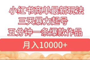 小红书商单最新玩法 3天暴力起号 5分钟一条爆款作品 月入10000+-风口项目网_项目资源_网络赚钱副业分享_创业项目_兼职副业_中创网_抖音教程