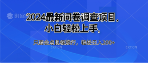 2024最新问卷调查项目，小白轻松上手，只要会点鼠标就行，轻松日入200+-风口项目网_项目资源_网络赚钱副业分享_创业项目_兼职副业_中创网_抖音教程