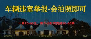 车辆违章举报得奖励-风口项目网_项目资源_网络赚钱副业分享_创业项目_兼职副业_中创网_抖音教程