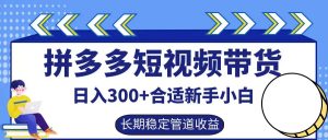 拼多多短视频带货日入300+实操落地流程-风口项目网_项目资源_网络赚钱副业分享_创业项目_兼职副业_中创网_抖音教程