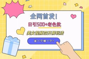 全网首发!日引500+老色批 美女视频四开屏玩法!发一个爆一个!-风口项目网_项目资源_网络赚钱副业分享_创业项目_兼职副业_中创网_抖音教程