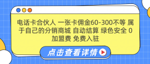 号卡合伙人 一张佣金60-300不等 自动结算 绿色安全-风口项目网_项目资源_网络赚钱副业分享_创业项目_兼职副业_中创网_抖音教程