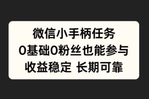 微信小手柄任务，0基础也能参与，收益稳定-风口项目网_项目资源_网络赚钱副业分享_创业项目_兼职副业_中创网_抖音教程