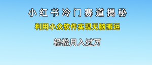 小红书冷门赛道揭秘,轻松月入过万，利用小众软件实现无脑搬运，-风口项目网_项目资源_网络赚钱副业分享_创业项目_兼职副业_中创网_抖音教程