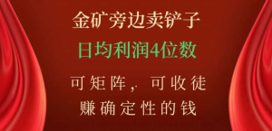 金矿旁边卖铲子，赚确定性的钱，可矩阵，可收徒，日均利润4位数不是梦-风口项目网_项目资源_网络赚钱副业分享_创业项目_兼职副业_中创网_抖音教程