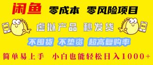 闲鱼 0成本0风险项目 简单易上手 小白也能轻松日入1000+-风口项目网_项目资源_网络赚钱副业分享_创业项目_兼职副业_中创网_抖音教程