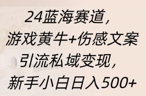 24蓝海赛道，游戏黄牛+伤感文案引流私域变现，新手日入500+-风口项目网_项目资源_网络赚钱副业分享_创业项目_兼职副业_中创网_抖音教程