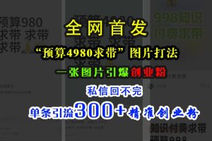 小红书“预算4980带我飞”图片打法，一张图片引爆创业粉，私信回不完，单条引流300+精准创业粉-风口项目网_项目资源_网络赚钱副业分享_创业项目_兼职副业_中创网_抖音教程