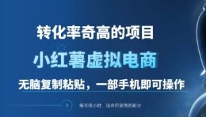 一单49.9，转化率奇高的项目，冷门暴利的小红书虚拟电商-风口项目网_项目资源_网络赚钱副业分享_创业项目_兼职副业_中创网_抖音教程