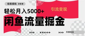 24年闲鱼流量掘金，虚拟引流变现新玩法，精准引流变现3W+-风口项目网_项目资源_网络赚钱副业分享_创业项目_兼职副业_中创网_抖音教程