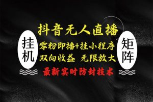 抖音无人直播最新独家玩法，小雪花+撸音浪双向收益，可矩阵放大-风口项目网_项目资源_网络赚钱副业分享_创业项目_兼职副业_中创网_抖音教程