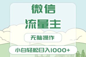 微信流量主最新玩法，小白轻松日入1000+-风口项目网_项目资源_网络赚钱副业分享_创业项目_兼职副业_中创网_抖音教程