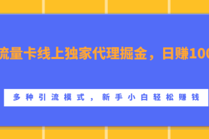 流量卡线上独家代理掘金，日赚1000+ ，多种引流模式，新手小白轻松赚钱-风口项目网_项目资源_网络赚钱副业分享_创业项目_兼职副业_中创网_抖音教程