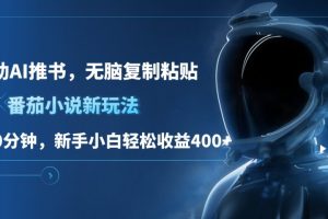 番茄小说新玩法，借助AI推书，无脑复制粘贴，每天10分钟，新手小白轻松收益400+-风口项目网_项目资源_网络赚钱副业分享_创业项目_兼职副业_中创网_抖音教程