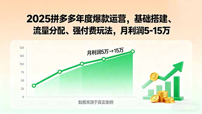 2025拼多多年度爆款运营，基础搭建、流量分配、强付费玩法，月利润5-15万-风口项目网_项目资源_网络赚钱副业分享_创业项目_兼职副业_中创网_抖音教程