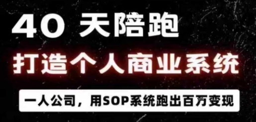 40天陪跑打造个人商业系统，一人公司，用SOP系统跑出百W变现-风口项目网_项目资源_网络赚钱副业分享_创业项目_兼职副业_中创网_抖音教程