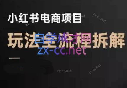 菲菲老师·小红书电商玩法(更新9月)-风口项目网_项目资源_网络赚钱副业分享_创业项目_兼职副业_中创网_抖音教程