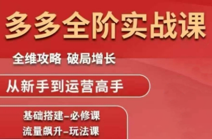 大炮·拼多多全阶实战课程(更新10月)-风口项目网_项目资源_网络赚钱副业分享_创业项目_兼职副业_中创网_抖音教程