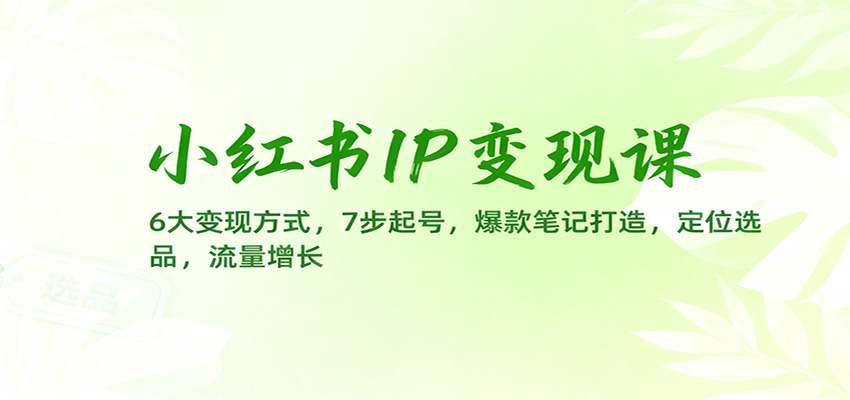 小红书IP变现课：6大变现方式，7步起号，爆款笔记打造，定位选品，流量增长-风口项目网_项目资源_网络赚钱副业分享_创业项目_兼职副业_中创网_抖音教程