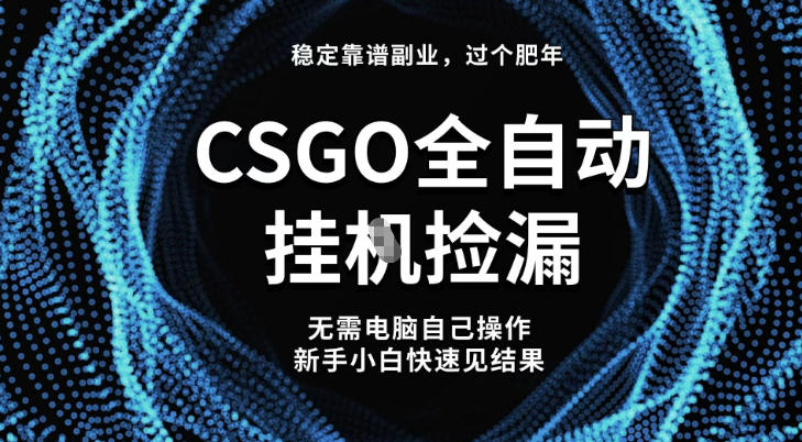 【稳定副业】全球最热门游戏CSGO全自动捡漏，最新玩法，新手小白日入5张+【揭秘】-风口项目网_项目资源_网络赚钱副业分享_创业项目_兼职副业_中创网_抖音教程