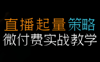 半野老师·直播带货起量与微付费必学课视频号-风口项目网_项目资源_网络赚钱副业分享_创业项目_兼职副业_中创网_抖音教程