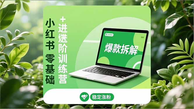 小红书零基础+高阶训练营：安全养号、爆款拆解、长效运营，实现稳定涨粉与变现-风口项目网_项目资源_网络赚钱副业分享_创业项目_兼职副业_中创网_抖音教程