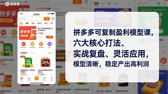 拼多多可复制盈利模型课，六大核心打法、实战复盘、灵活应用，模型清晰，稳定产出高利润-风口项目网_项目资源_网络赚钱副业分享_创业项目_兼职副业_中创网_抖音教程