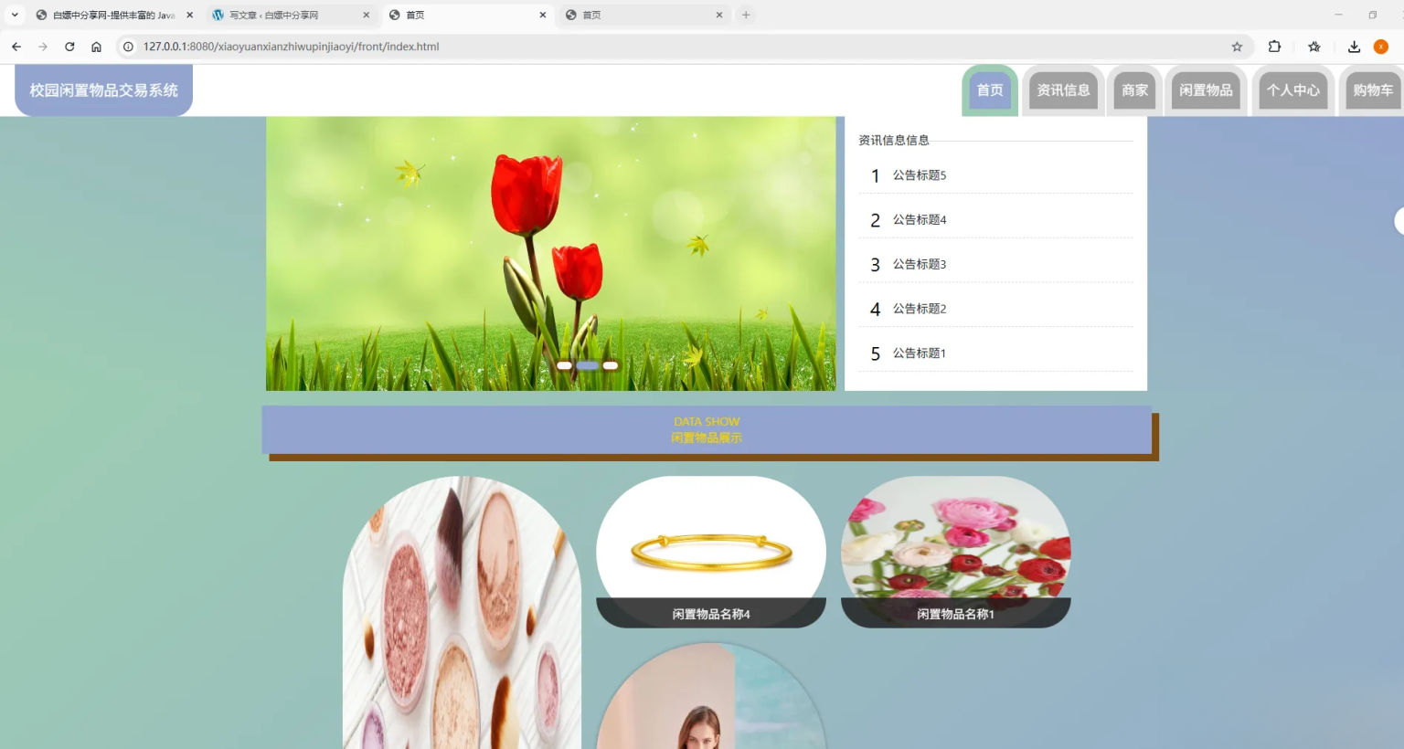 基于Spring Boot的校园闲置物品交易系统代码-风口项目网_项目资源_网络赚钱副业分享_创业项目_兼职副业_中创网_抖音教程